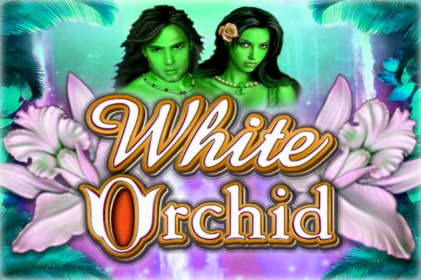 White Orchid Demo Slot